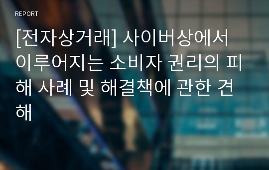 [전자상거래] 사이버상에서 이루어지는 소비자 권리의 피해 사례 및 해결책에 관한 견해