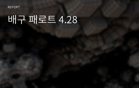 배구 패로트 4.28