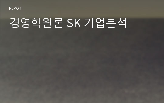 경영학원론 SK 기업분석