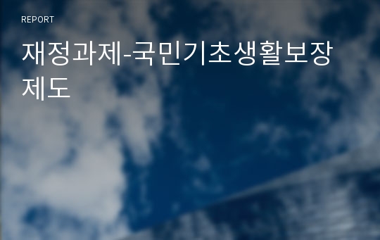 재정과제-국민기초생활보장제도