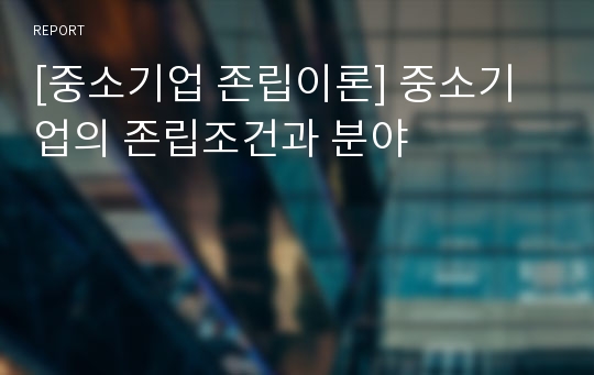 [중소기업 존립이론] 중소기업의 존립조건과 분야