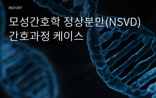 모성간호학 정상분만(NSVD)간호과정 케이스