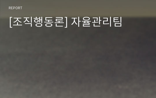 [조직행동론] 자율관리팀