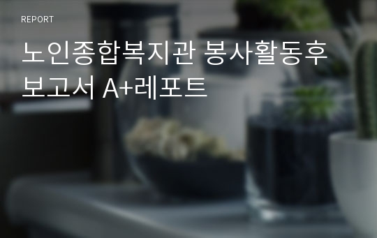 노인종합복지관 봉사활동후 보고서 A+레포트