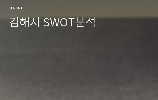 김해시 SWOT분석