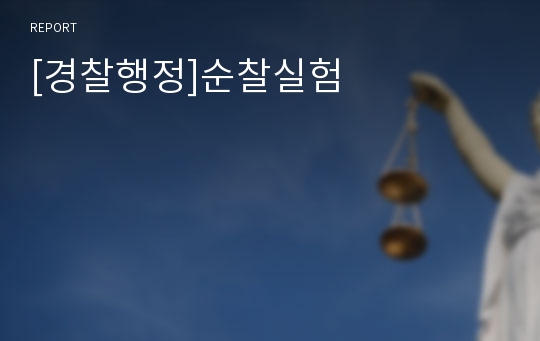 [경찰행정]순찰실험