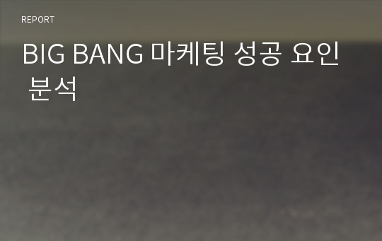 BIG BANG 마케팅 성공 요인 분석