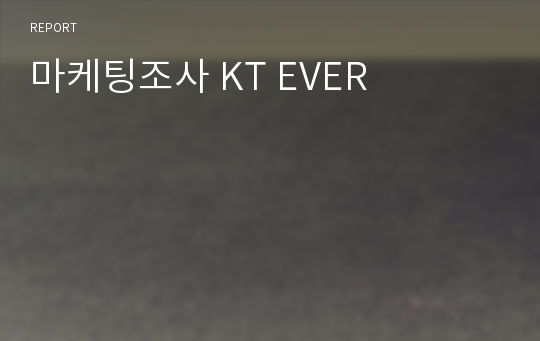 마케팅조사 KT EVER