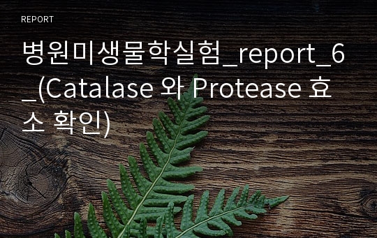 병원미생물학실험_report_6_(Catalase 와 Protease 효소 확인)