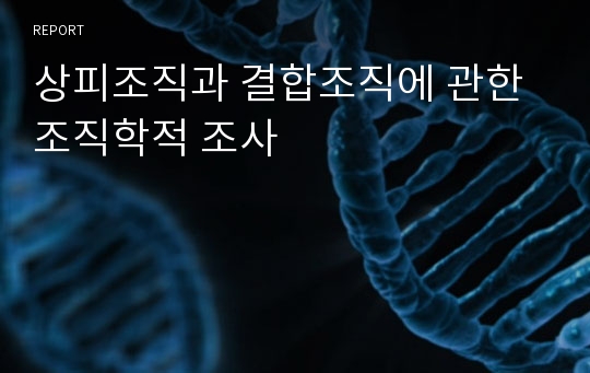 상피조직과 결합조직에 관한 조직학적 조사