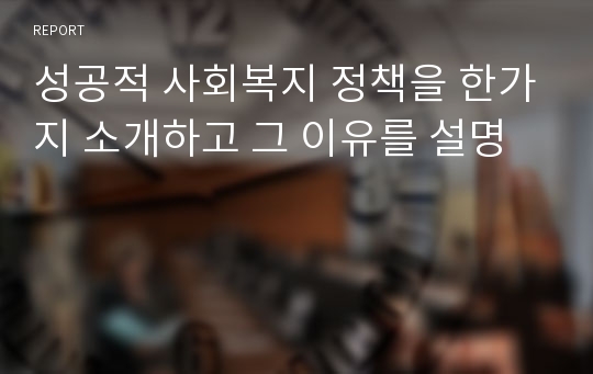 성공적 사회복지 정책을 한가지 소개하고 그 이유를 설명