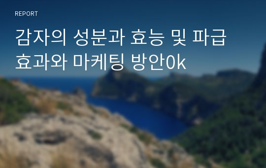 감자의 성분과 효능 및 파급효과와 마케팅 방안0k