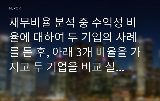 재무비율 분석 중 수익성 비율에 대하여 두 기업의 사례를 든 후, 아래 3개 비율을 가지고 두 기업을 비교 설명하시오. (매출액 영업이익률, 총자산 순이익률, 자기자본 순이익률)