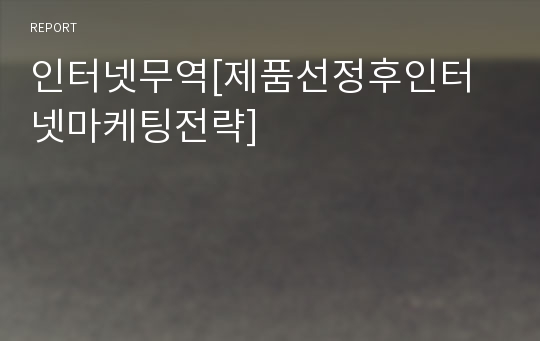 인터넷무역[제품선정후인터넷마케팅전략]