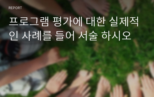 프로그램 평가에 대한 실제적인 사례를 들어 서술 하시오