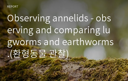 Observing annelids - observing and comparing lugworms and earthworms.(환형동물 관찰)