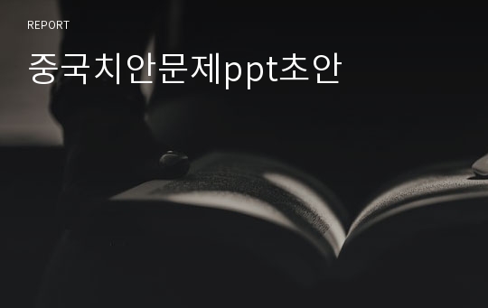 중국치안문제ppt초안