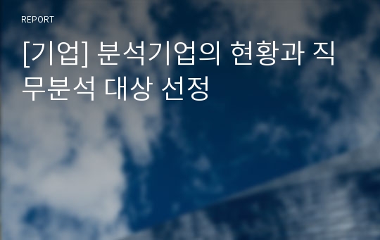 [기업] 분석기업의 현황과 직무분석 대상 선정