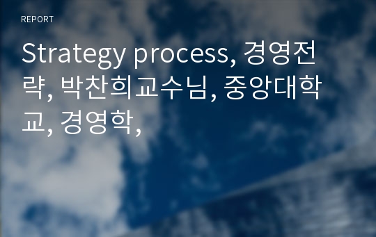 Strategy process, 경영전략, 박찬희교수님, 중앙대학교, 경영학,