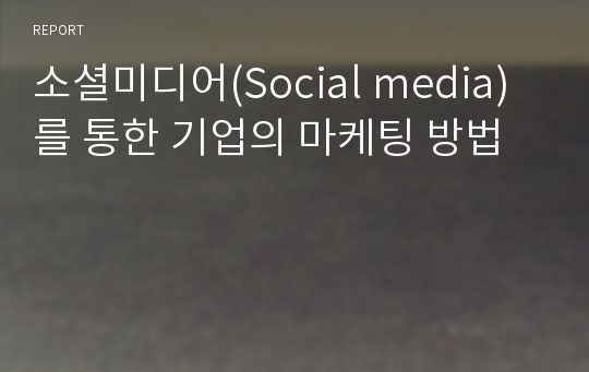 소셜미디어(Social media)를 통한 기업의 마케팅 방법