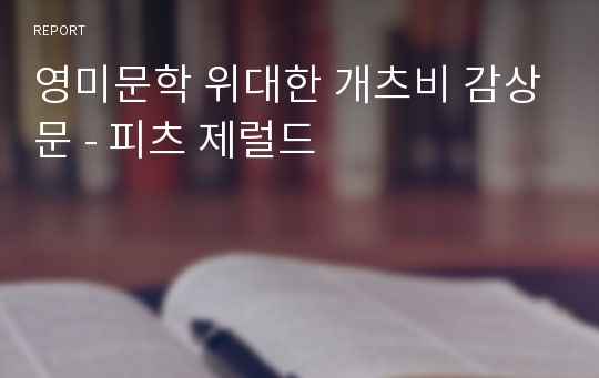 영미문학 위대한 개츠비 감상문 - 피츠 제럴드