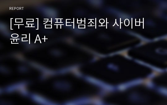 [무료] 컴퓨터범죄와 사이버윤리 A+