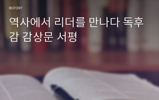 역사에서 리더를 만나다 독후감 감상문 서평