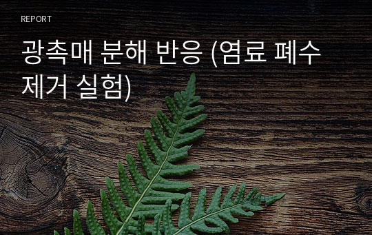 광촉매 분해 반응 (염료 폐수 제거 실험)