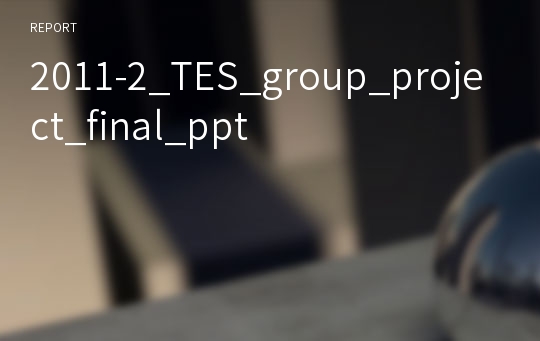 2011-2_TES_group_project_final_ppt