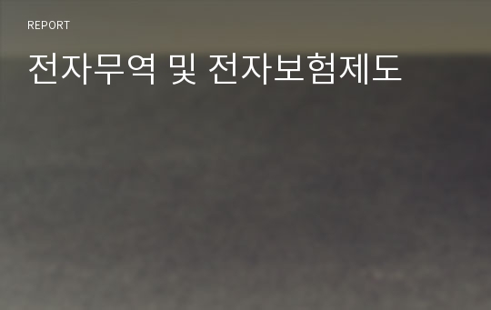 전자무역 및 전자보험제도