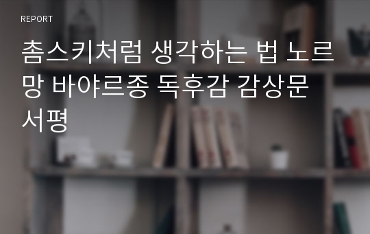 촘스키처럼 생각하는 법 노르망 바야르종 독후감 감상문 서평