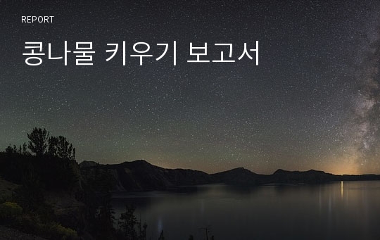 콩나물 키우기 보고서