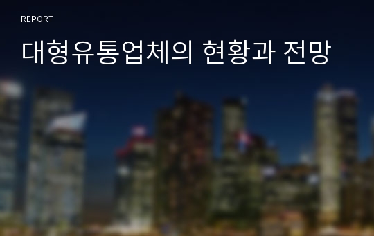 대형유통업체의 현황과 전망