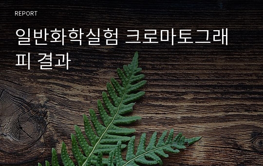 일반화학실험 크로마토그래피 결과