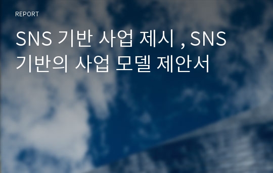 SNS 기반 사업 제시 , SNS 기반의 사업 모델 제안서