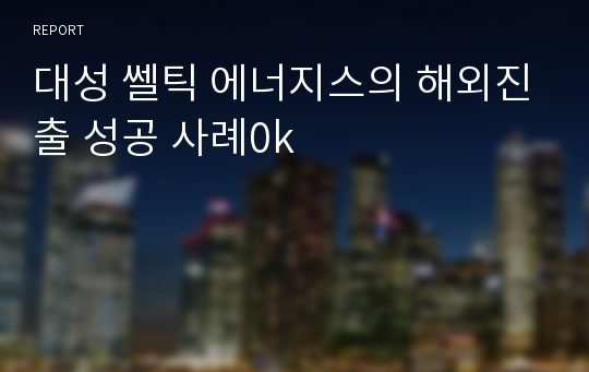 대성 쎌틱 에너지스의 해외진출 성공 사례0k