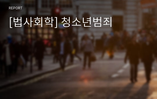 [법사회학] 청소년범죄