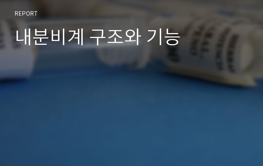 내분비계 구조와 기능