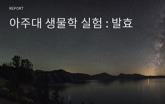 아주대 생물학 실험 : 발효