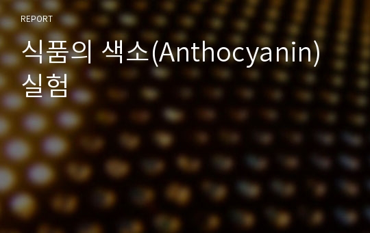 식품의 색소(Anthocyanin) 실험