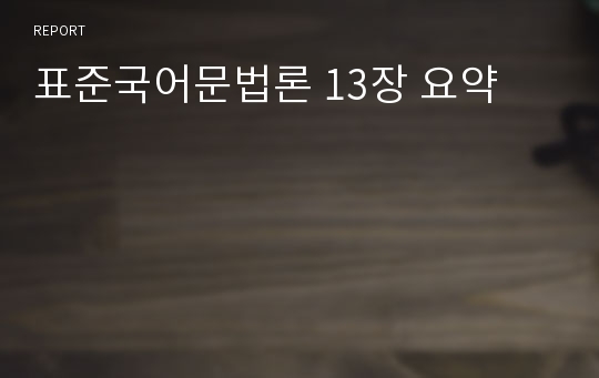 표준국어문법론 13장 요약