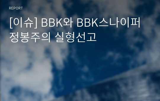 [이슈] BBK와 BBK스나이퍼 정봉주의 실형선고