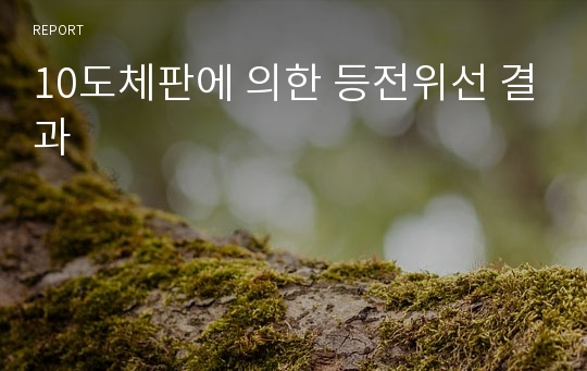 10도체판에 의한 등전위선 결과