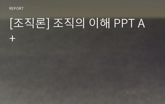 [조직론] 조직의 이해 PPT A+