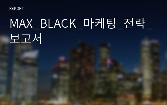 MAX_BLACK_마케팅_전략_보고서