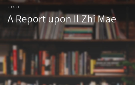 A Report upon Il Zhi Mae