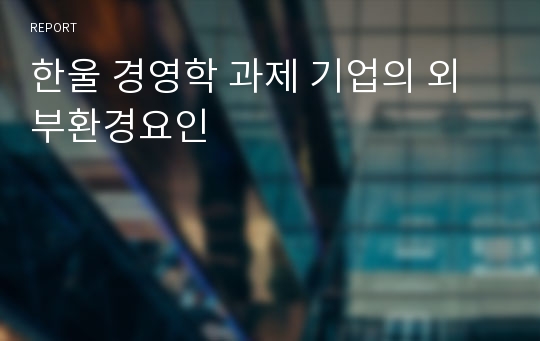 한울 경영학 과제 기업의 외부환경요인