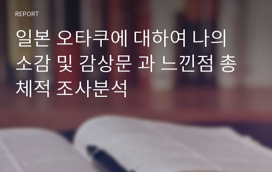 일본 오타쿠에 대하여 나의 소감 및 감상문 과 느낀점 총체적 조사분석