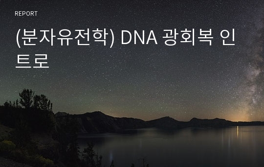 (분자유전학) DNA 광회복 인트로