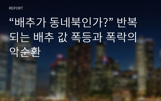 “배추가 동네북인가?” 반복되는 배추 값 폭등과 폭락의 악순환